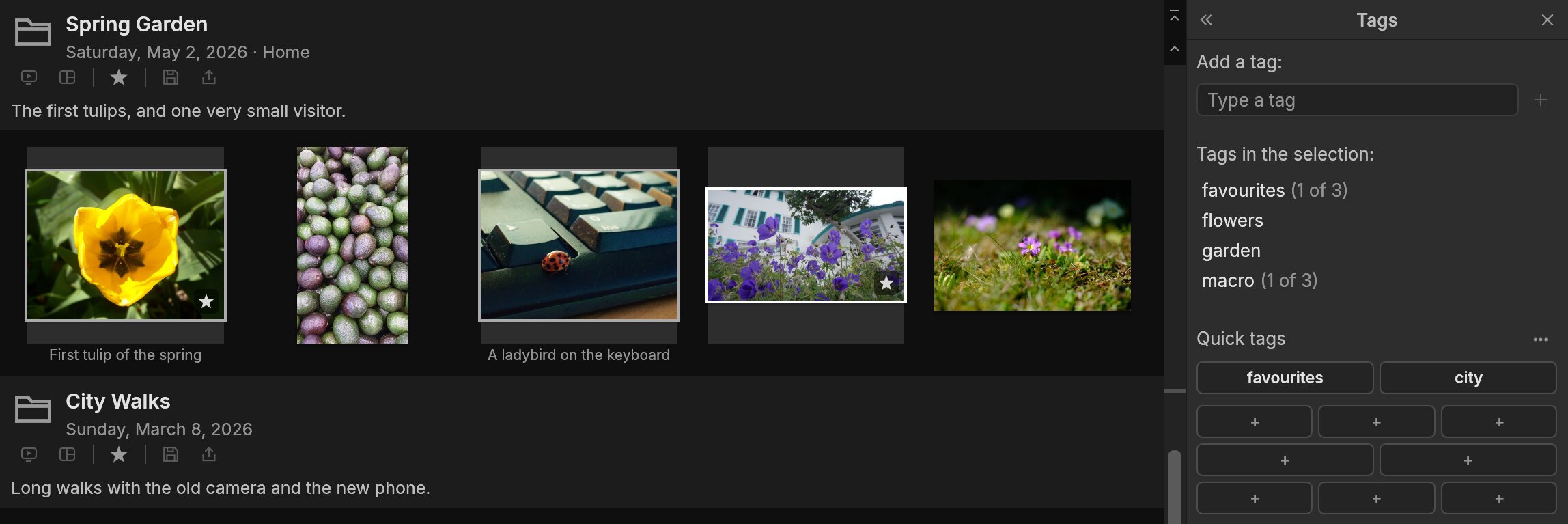Close-up: three selected garden photos and the Tags pane showing favourites (1 of 3), flowers, garden and macro (1 of 3), with quick tag buttons below